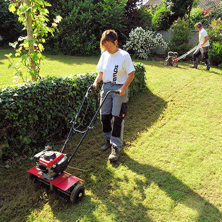 Gartenpflege